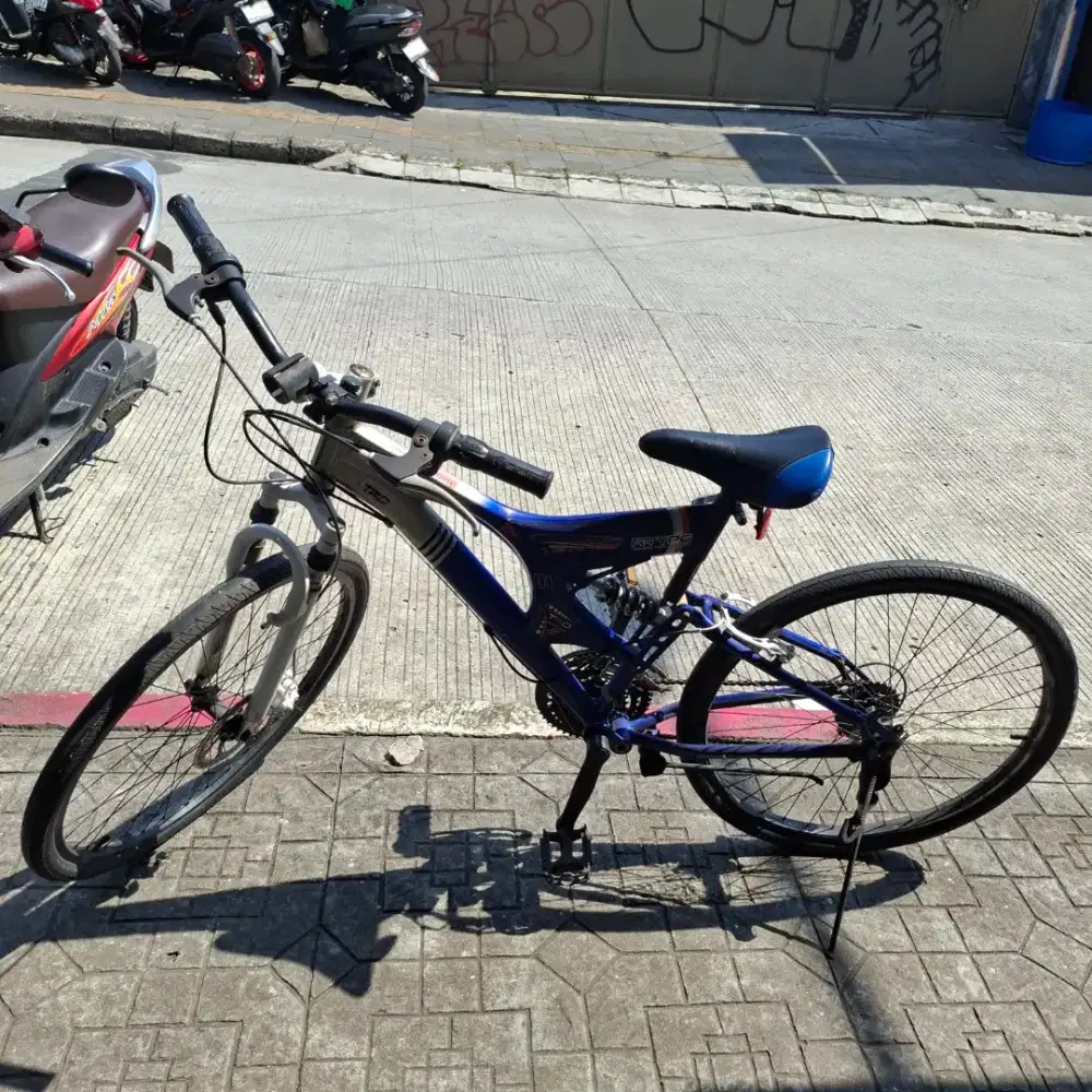 Sepedah MTB merk ever grenn