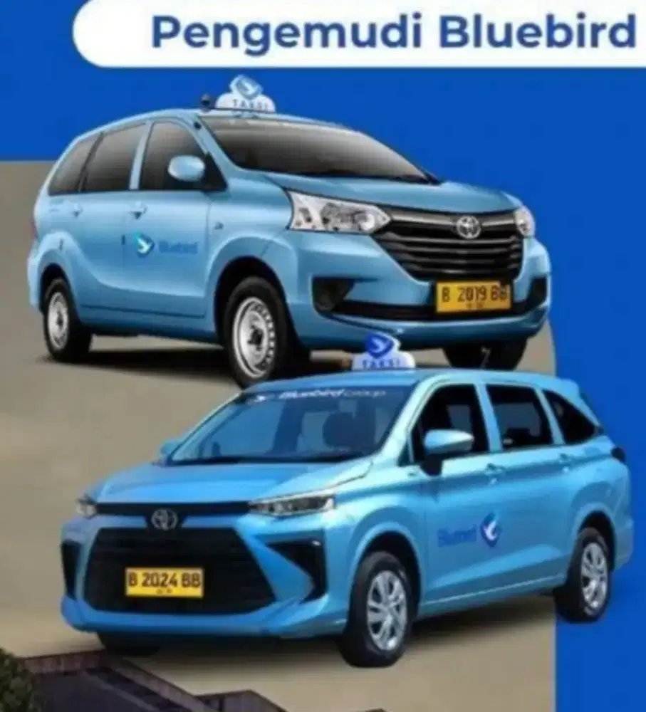 LOWONGAN PENGEMUDI TAXI BLUEBIRD