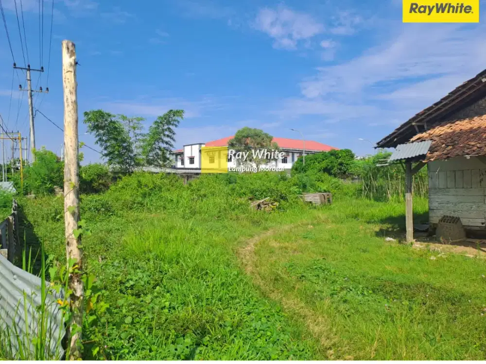 Dijual Tanah Di JL. AH. Nasution Yosodadi, Metro Timur, Metro (Kode : MEL 3592)