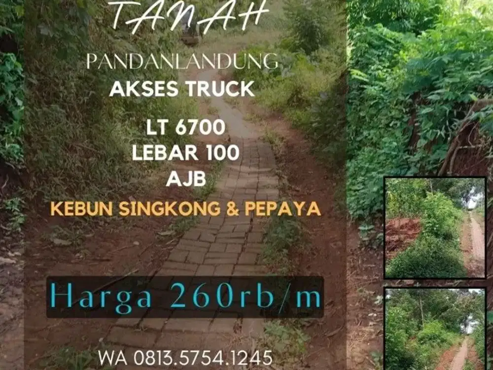 Tanah kebun dijual pandanlandung bandulan lt6700 leb100 akses mobil