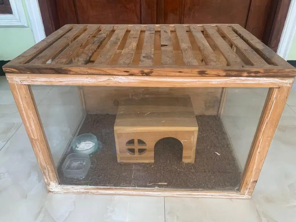terarium reptil