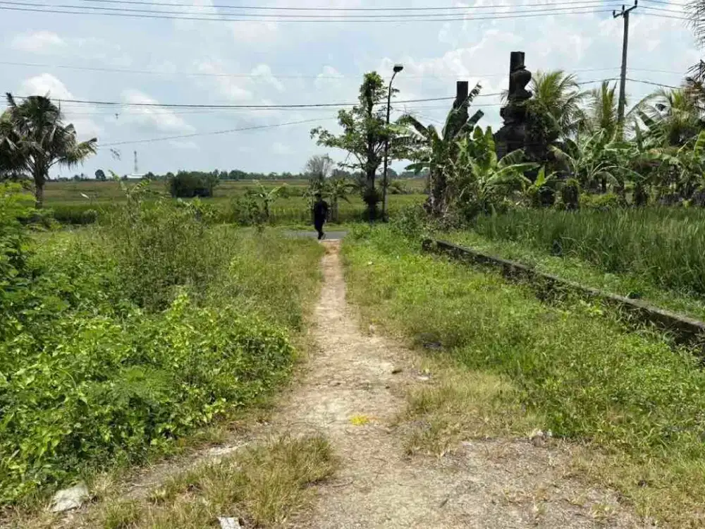 promo tanah kavling baja Mengwi unit terbatas