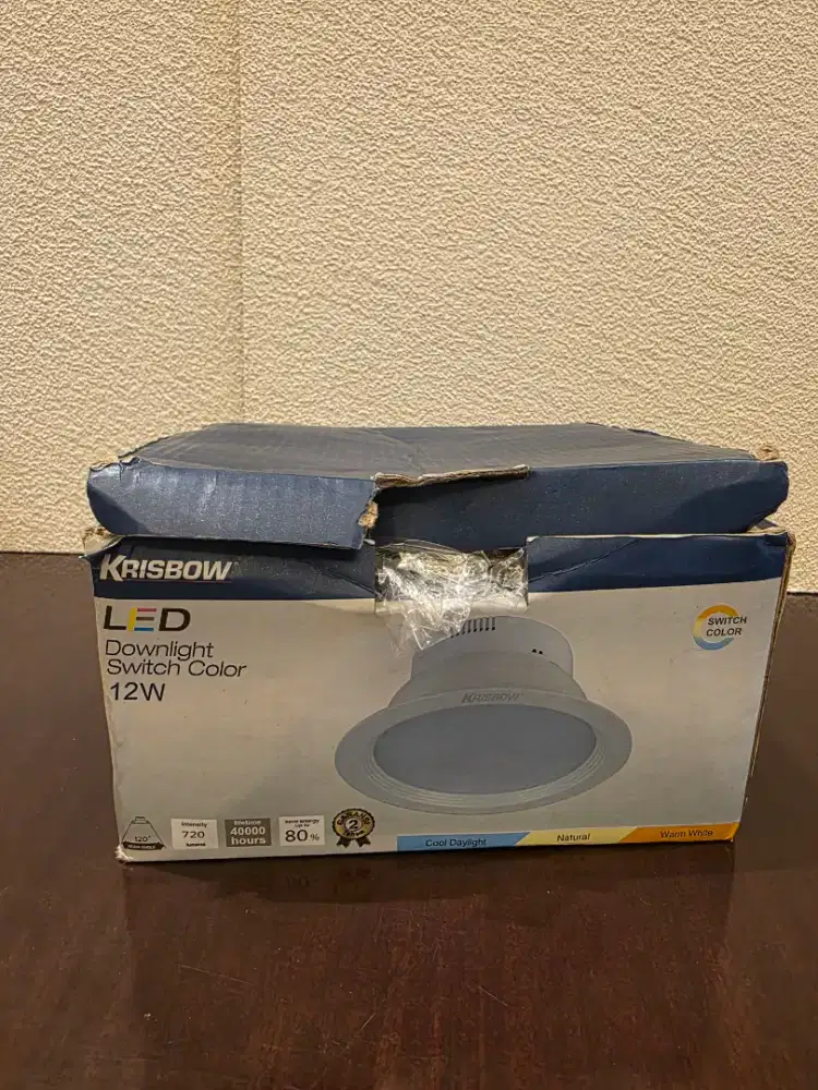 Lampu downlight LED