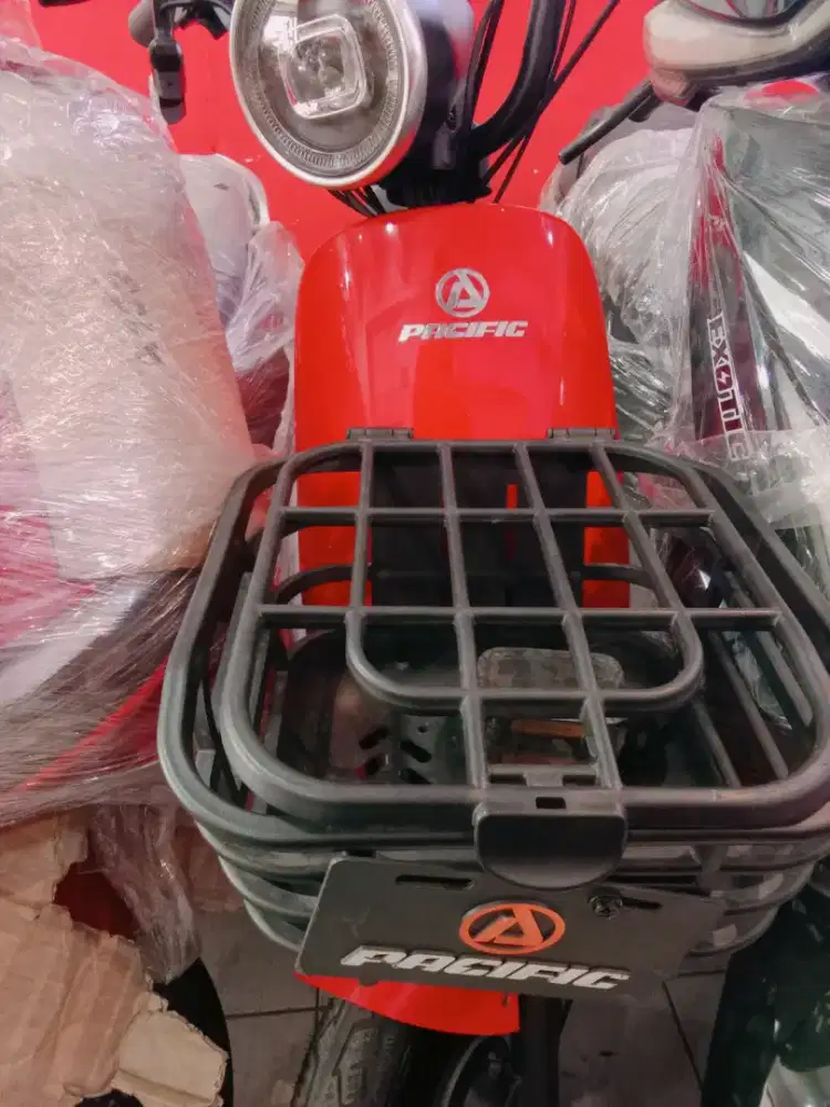 PACIFIC NIMBUZZ READY STOK