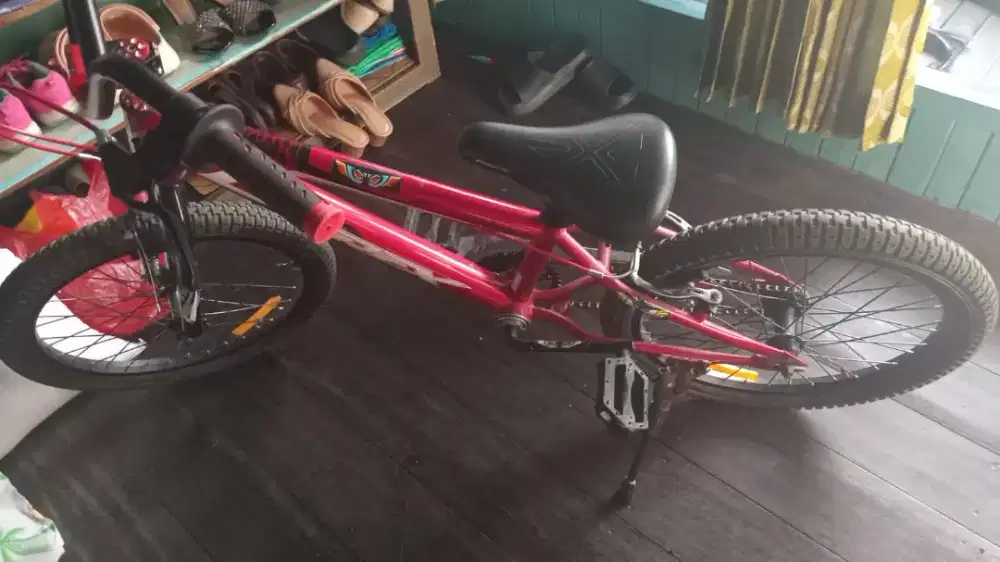 Sepeda anak laki laki