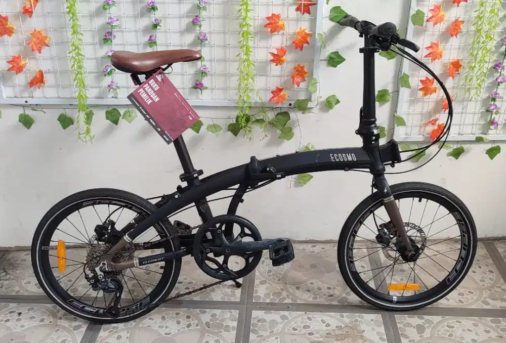 Sepeda Lipat Element Ecozmo 9 ring 20 bekas
