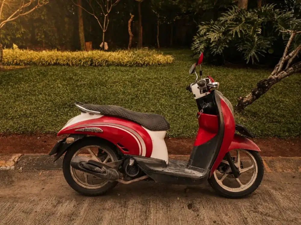 Honda scoopy 2013