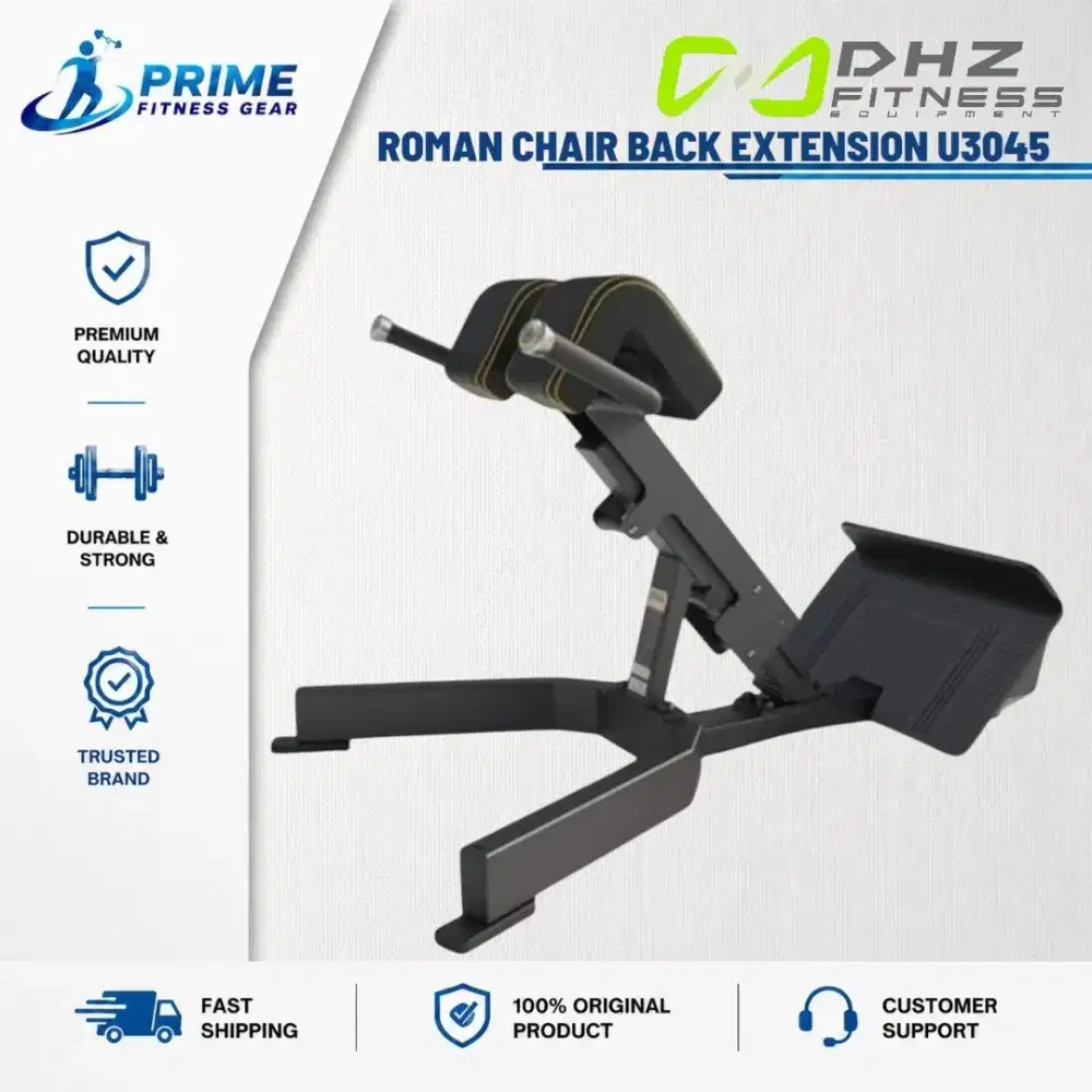 Roman chair Back Extension dhz fitness