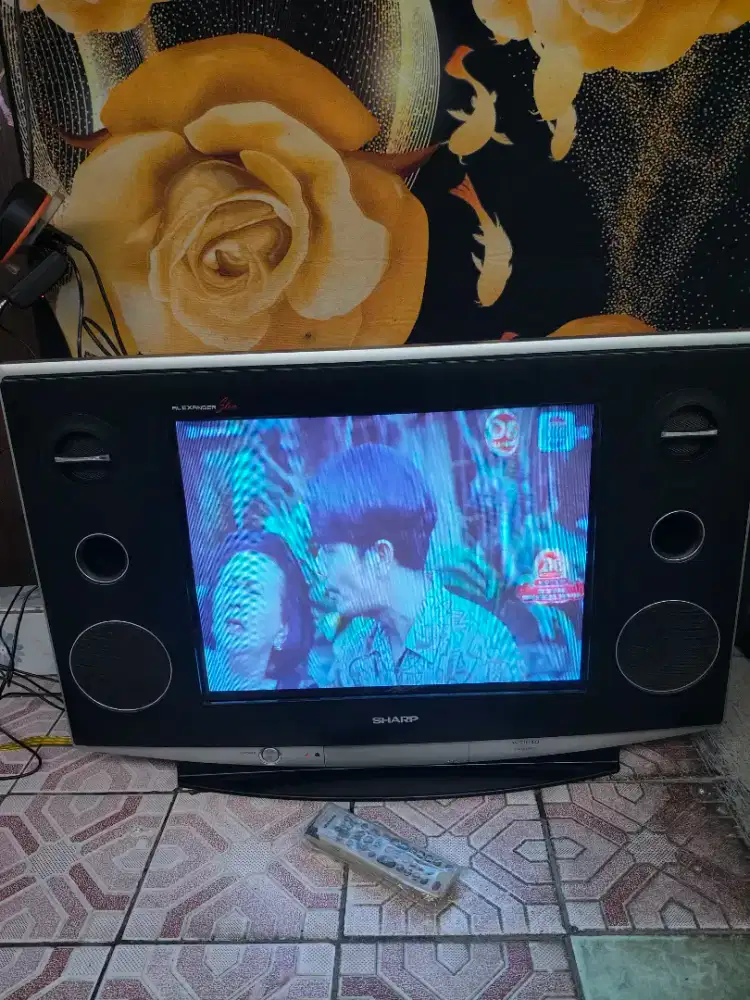 Tv tabung slim shapp 21 inci analog