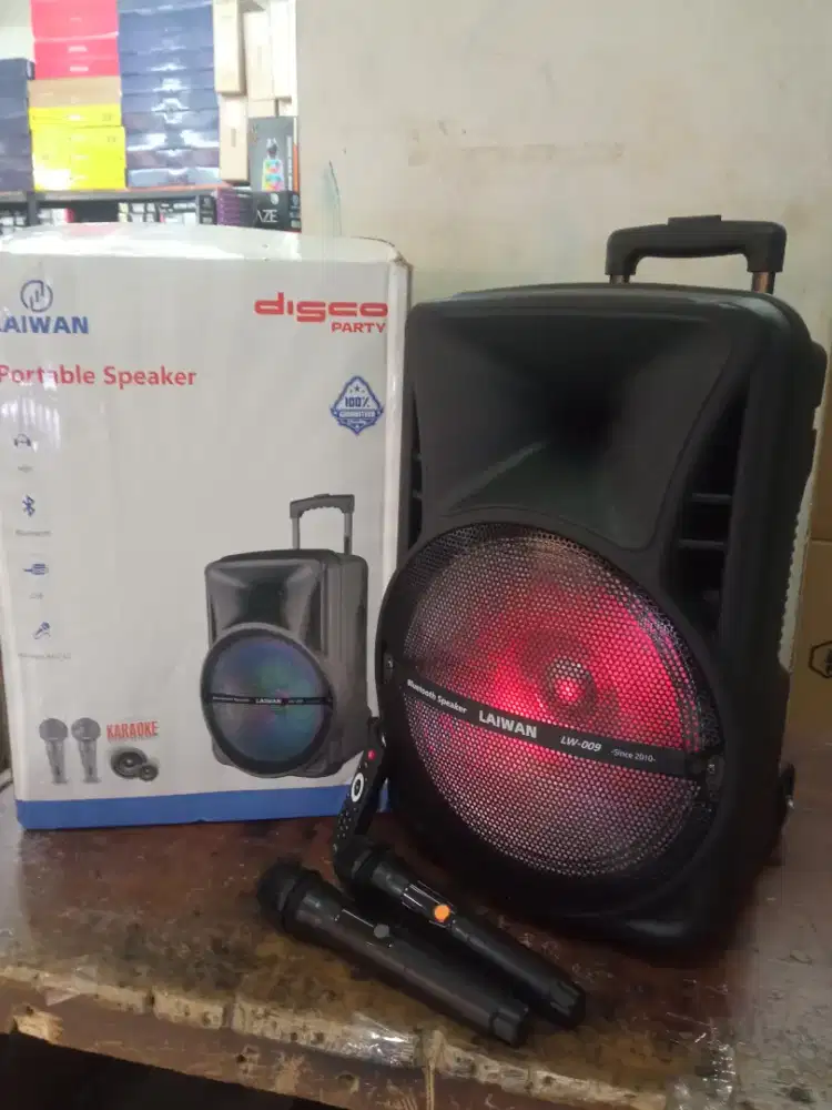 Portabel speaker 12inch,2mic wireless