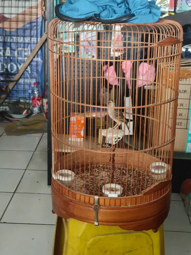 br beserta isinya jinak