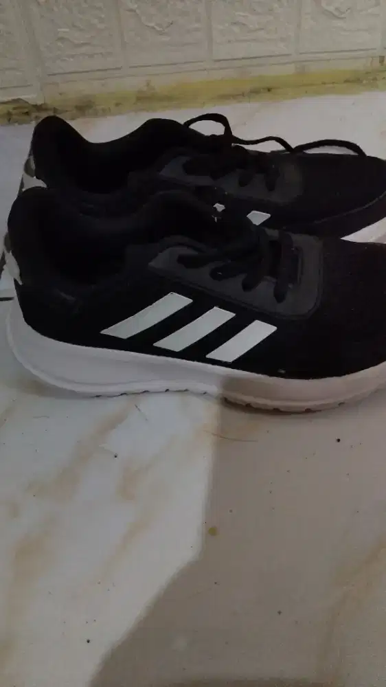Adidas original 100%