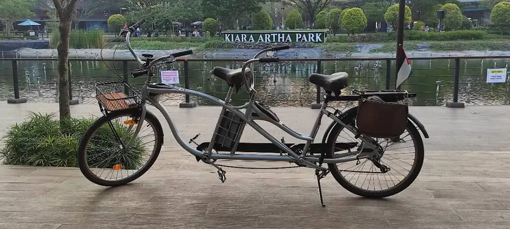 SCHWINN TANGO tandem
