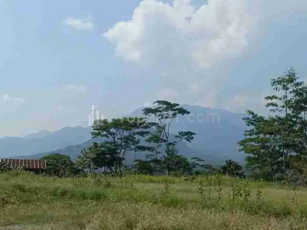 tanah 5 hektar cuma 250 rb/m²
tanah tanjungsari tanah Cariu