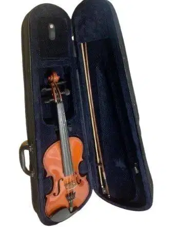 violin new merek cervini