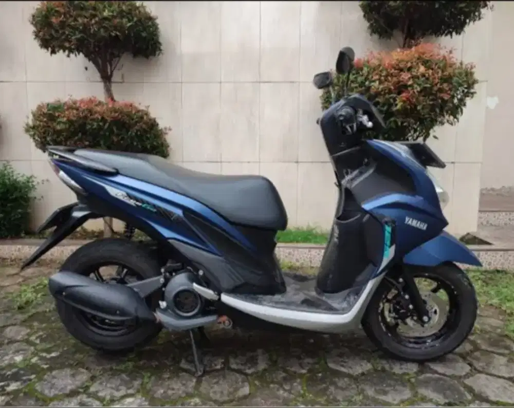 Jual motor free go 2023