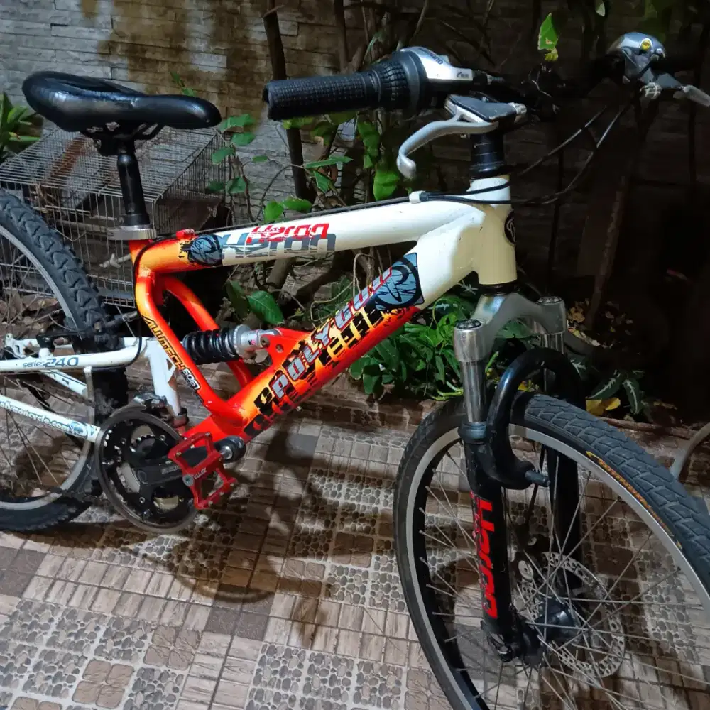 Sepeda mtb polygon heron
