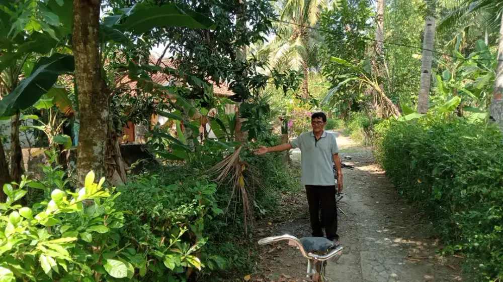 Jual tanah di wates selatan kp