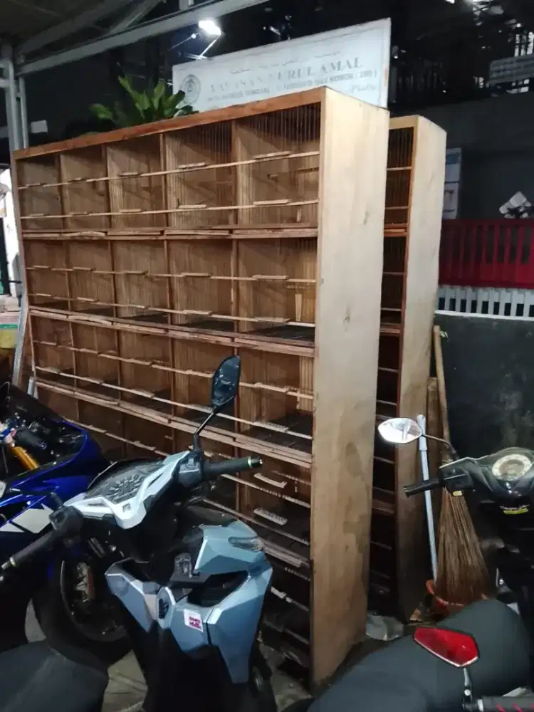 Rak display Burung dara