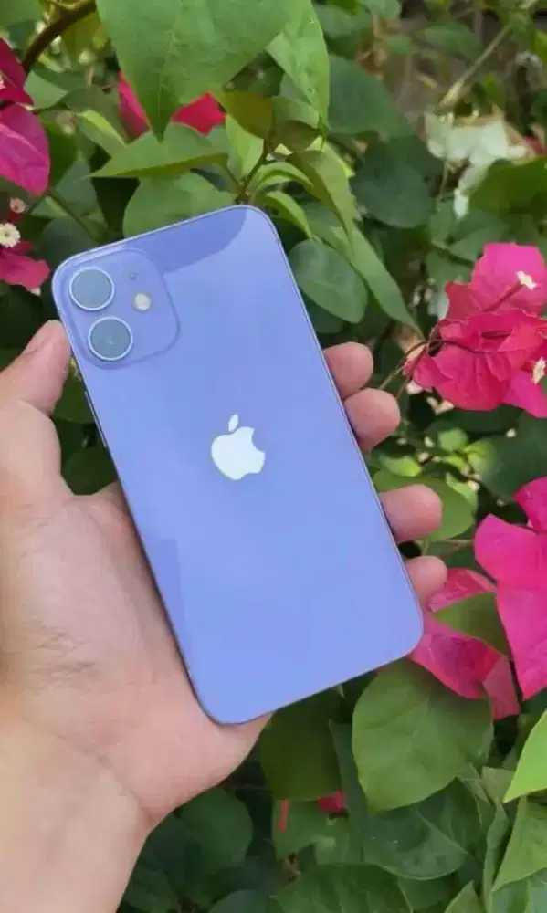 Iphone 12 Mini 256 GB