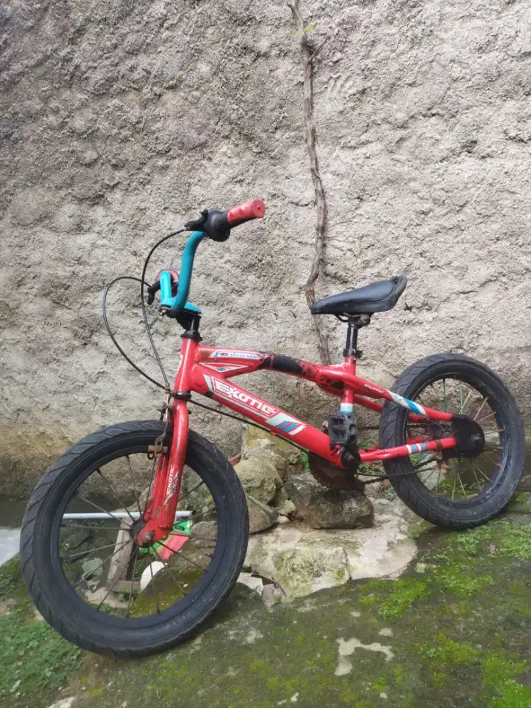 Sepeda Anak Ukuran 16