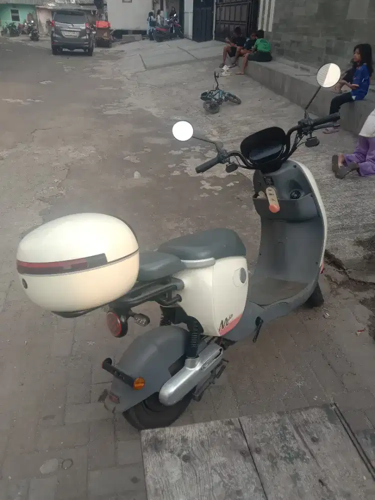 Sepedah listrik luyuan moda