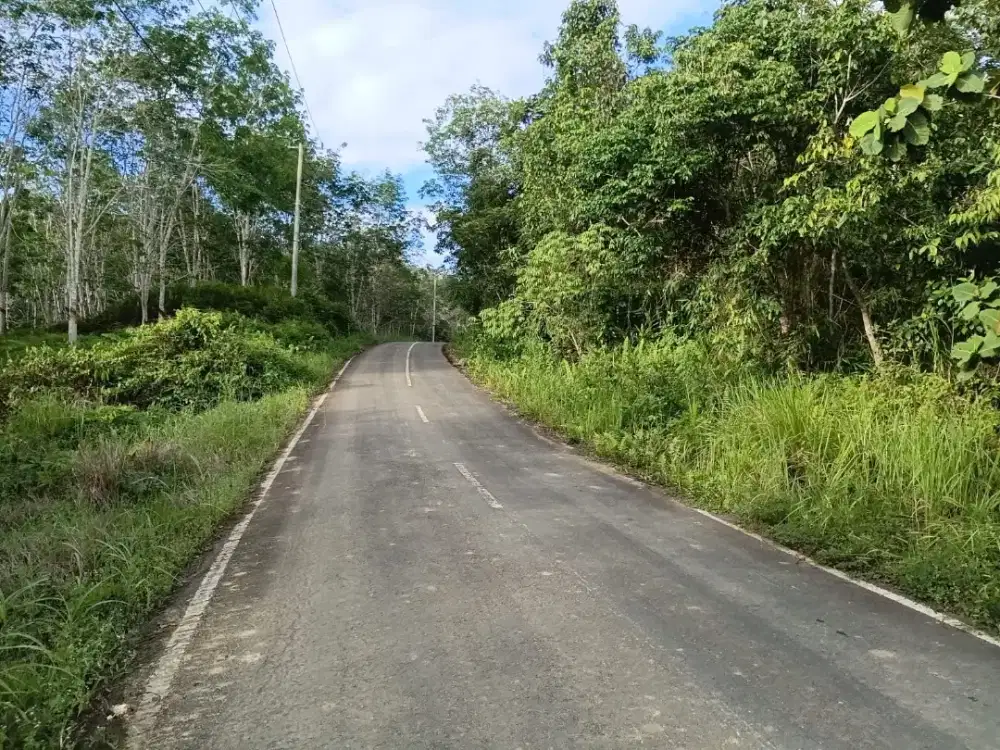 Tanah Cantik pinggir Jalan aspal mulus di Ring 2 IKN NUSANTARA