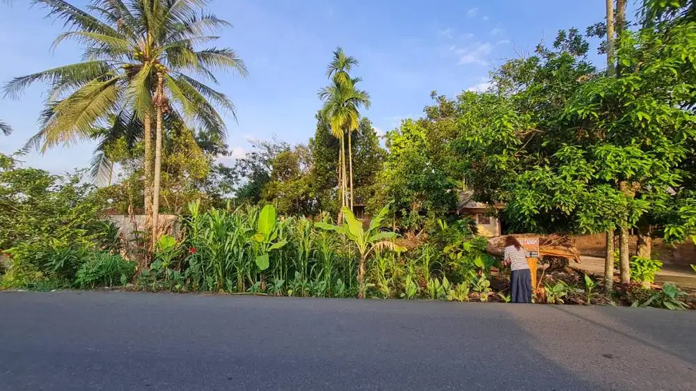 Tanah Strategis SHM 9 x 32.5 Meter di Namorambe, Cocok Rumah Hunian