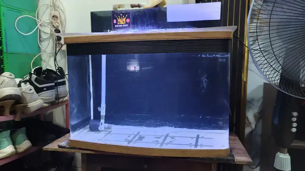 Aquarium 60x40x40 kaca lengkung
