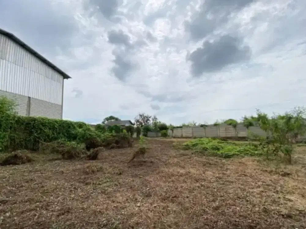 DIJUAL CEPAT LAHAN DEPAN DAN BELAKANG DI SERANG BANTEN