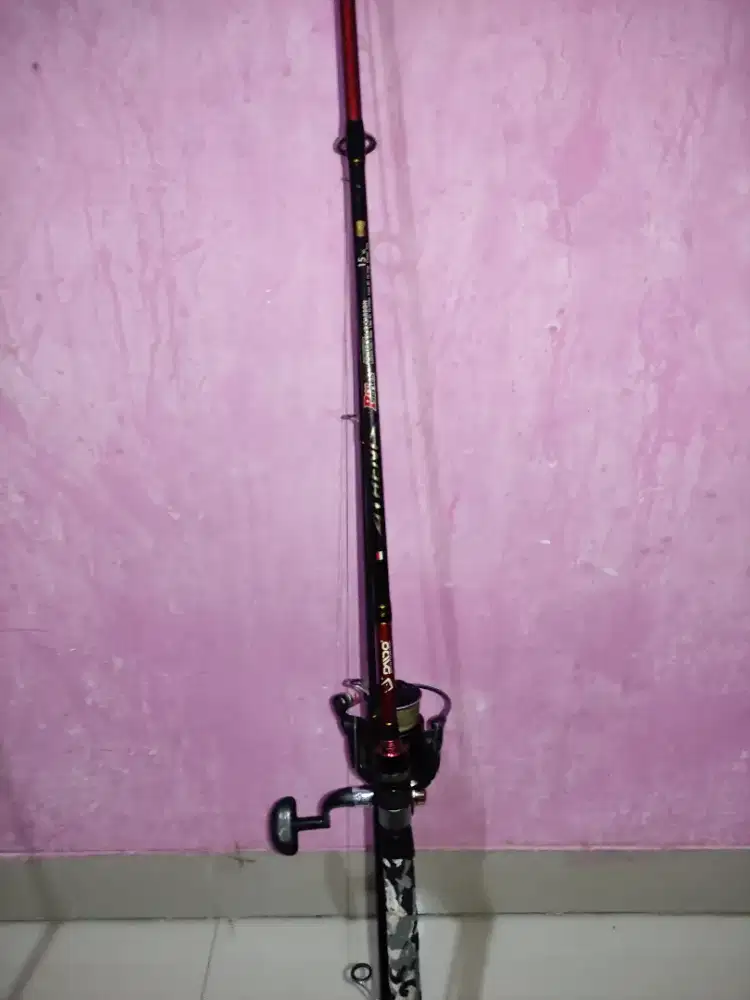Joran pancing 1 set