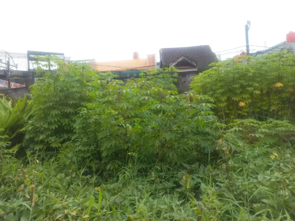 Dijual  Tanah Kavling di Perum Palm Recidence Seluas 221 m2 - Makassar