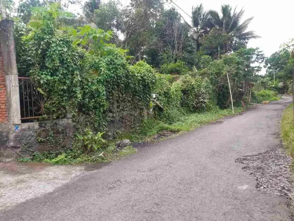 DIJUAL CEPAT TANAH CANTIK DAN MENARIK DI AIRMADIDI, HARGA SANGAT MURAH