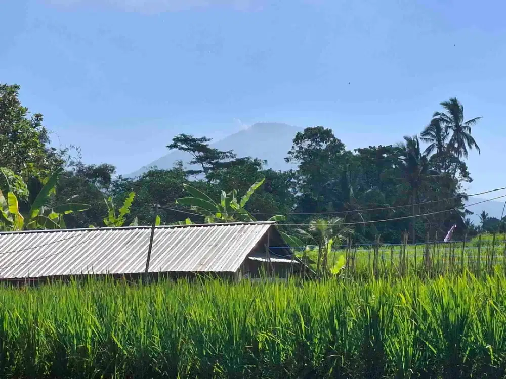 tanah luasan kecil dengan view sawah dan gunung sangat strategis berada di kawasan wisata