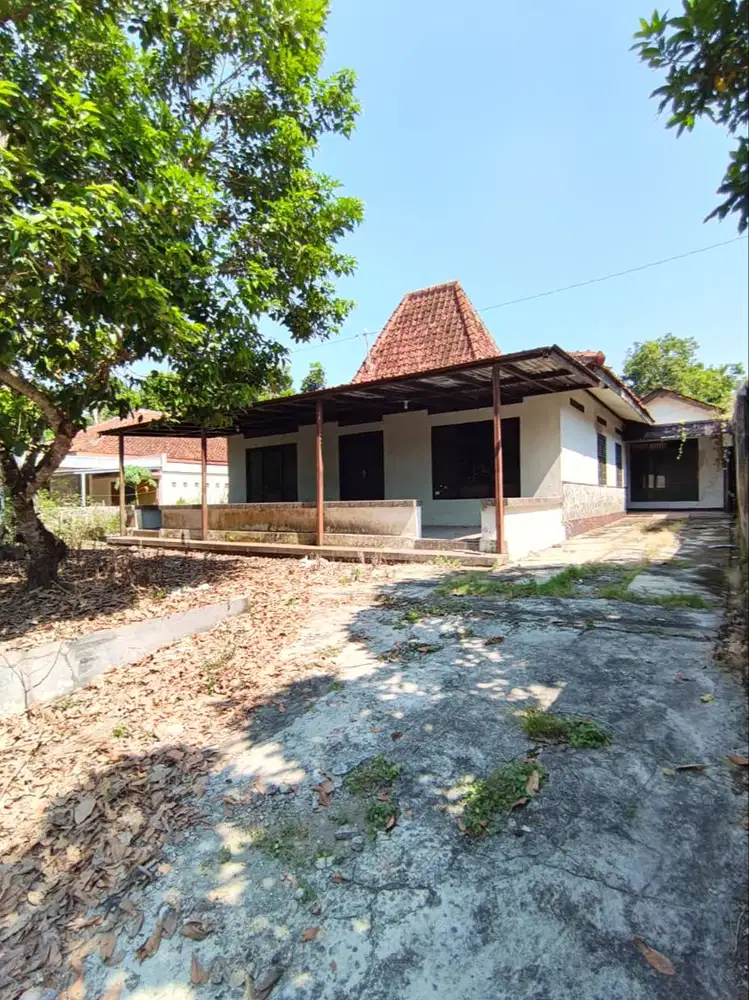 Rumah Limasan Klasik dengan Halaman Luas di Sedayu