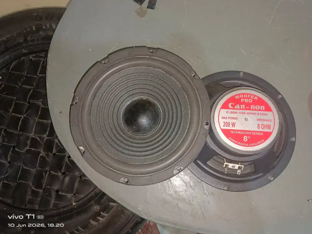 Speaker Cannon 818 W Sepasang Normal