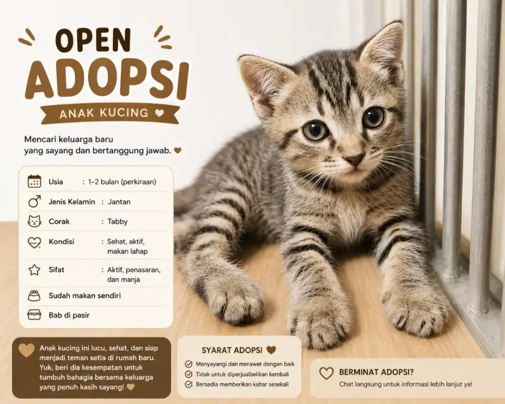 BU Adopsi Kucing
