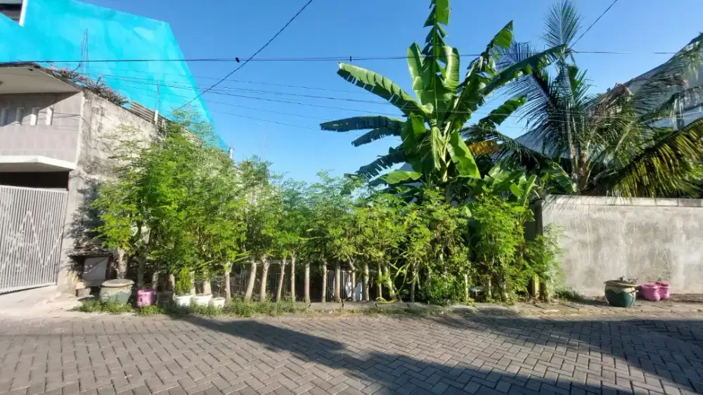 Tanah Kavling Wonorejo Selatan Rungkut dekat Merr, UPN, STIKOM, IPH,.