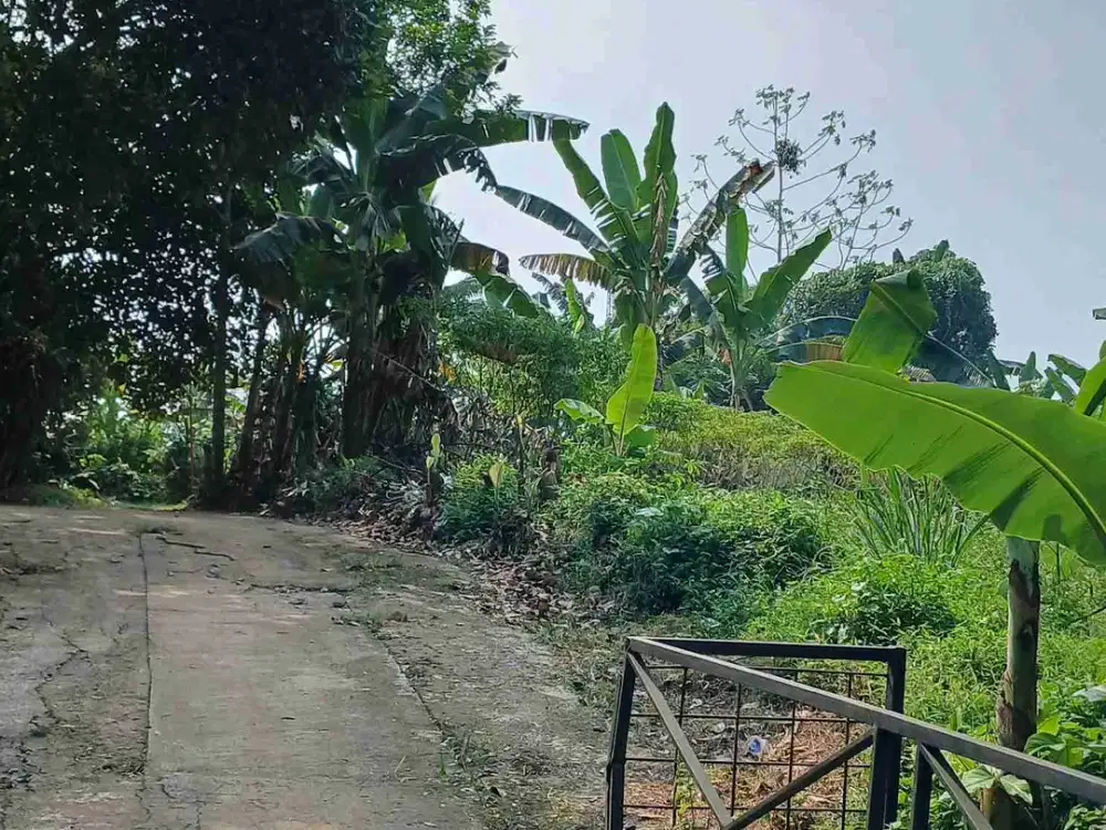 DIJUAL TANAH DENGAN DI BELAKANG PERUMAHAN BHUMI AMALA GUNUNG SINDUR