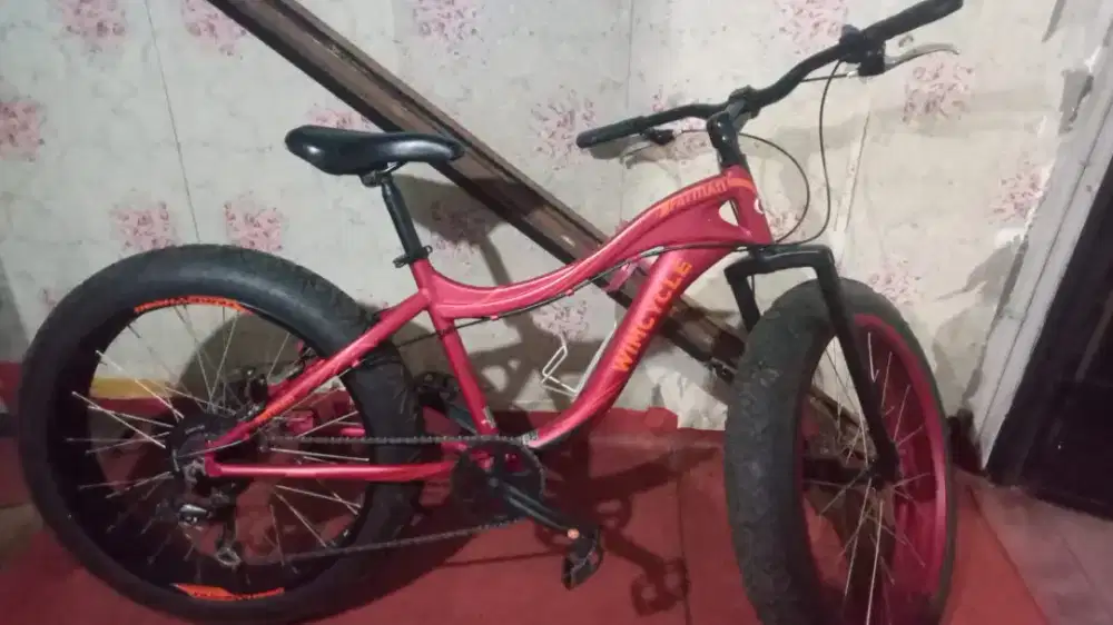 Sepeda gunug WIMCYCLE