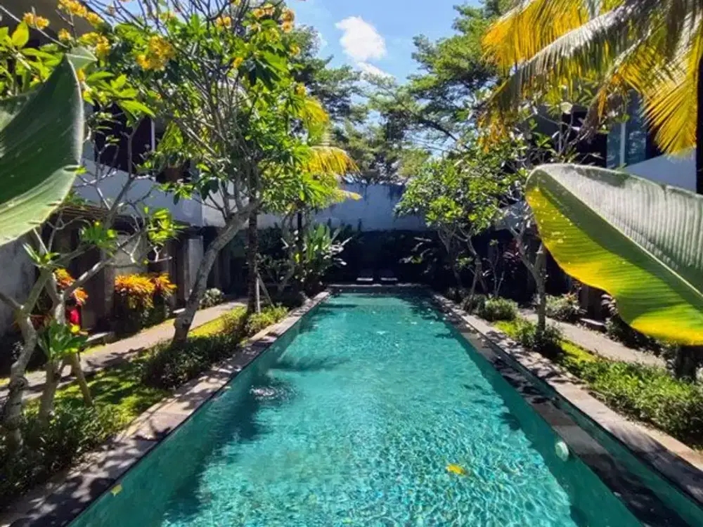 Monthly Rental Studio Apartment in Kerobokan – Pet Friendly Living Near Seminyak