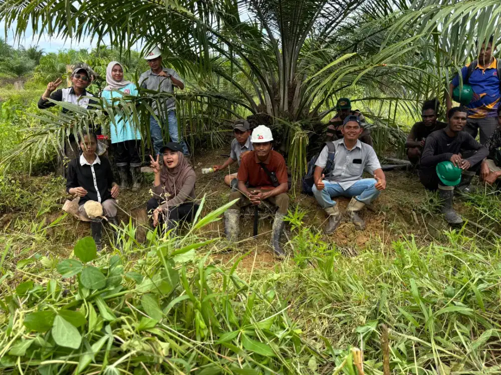 Lowongan pekerjaan kebun kelapa sawit
