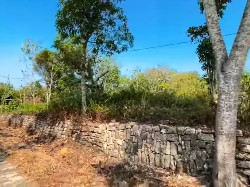 Tanah Pekarangan