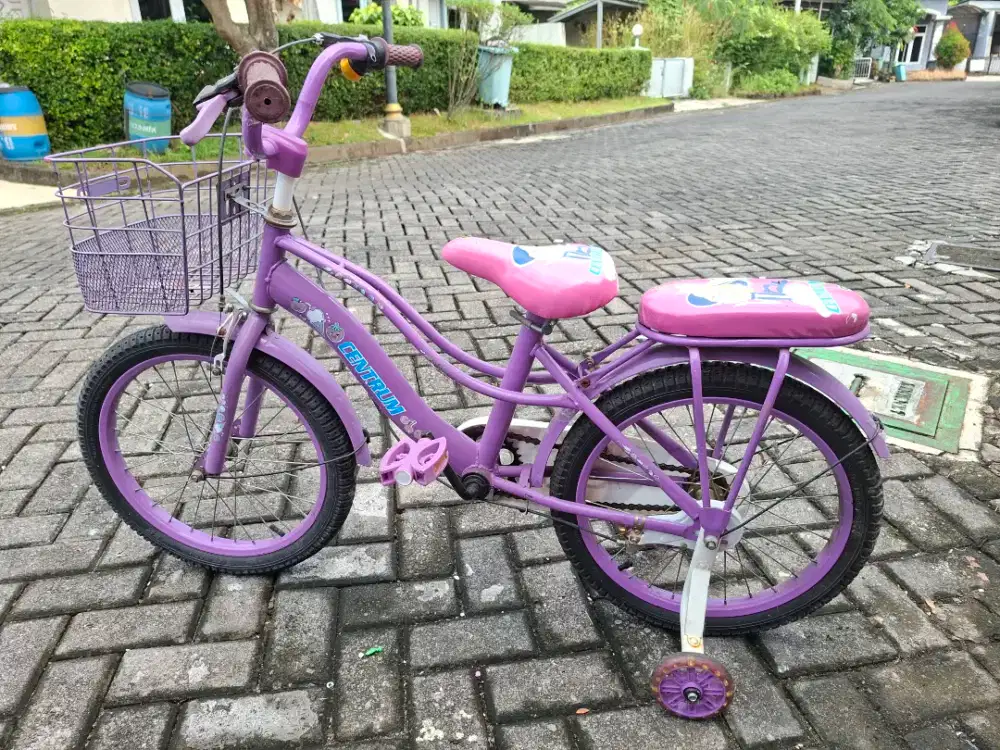 Sepeda anak cewek