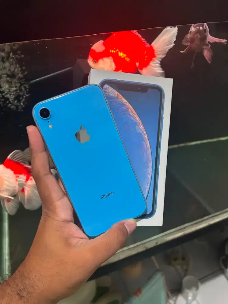 Iphone xr 64gb fullset mulus