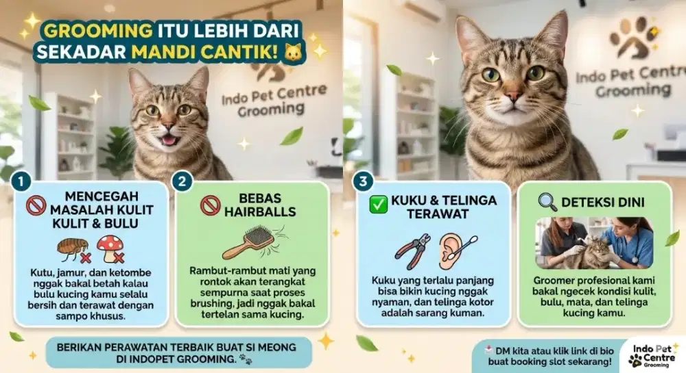 Grooming anjing dan kucing panggilan datang ke rumah