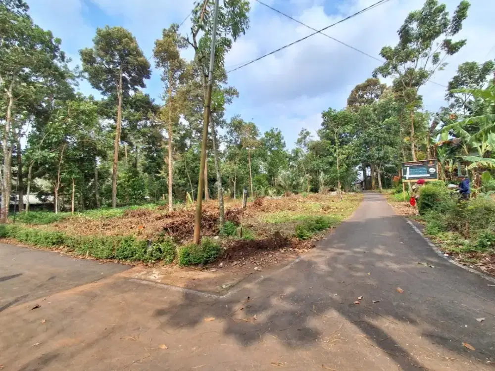 Tanah sangat Istimewa sekitar Bsb city Semarang SHM siap bangun