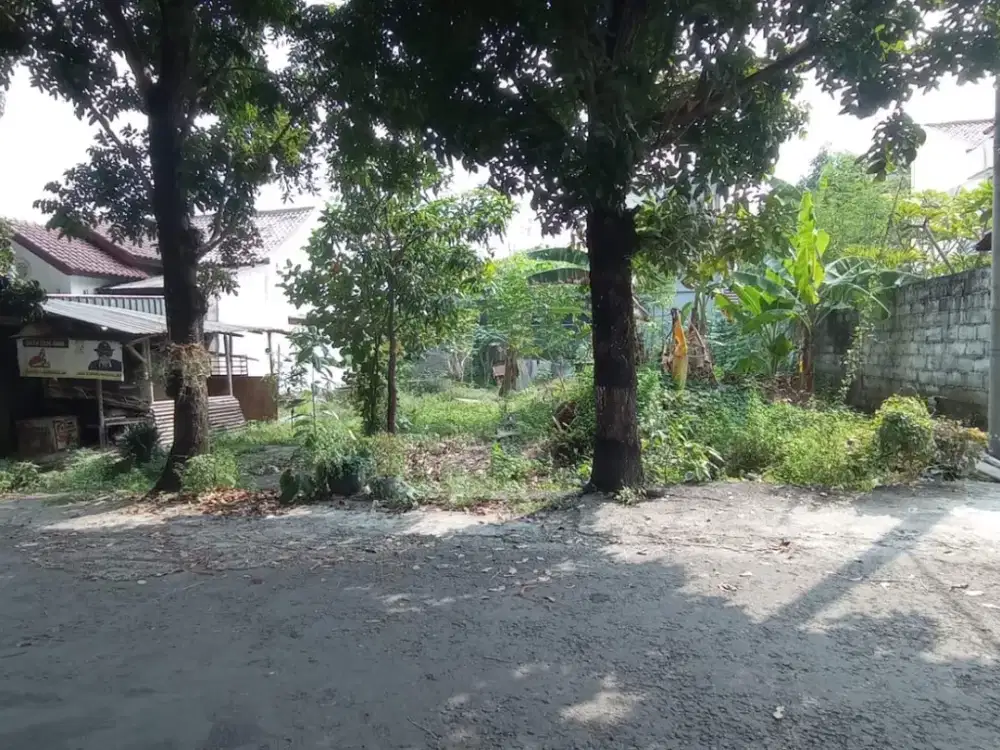 Tanah pekarangan bagus di skitaran condong catur cocok untuk hunian mewah, kos2 an