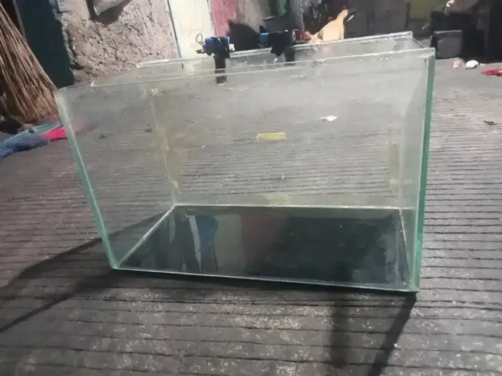 akuarium ikan hias