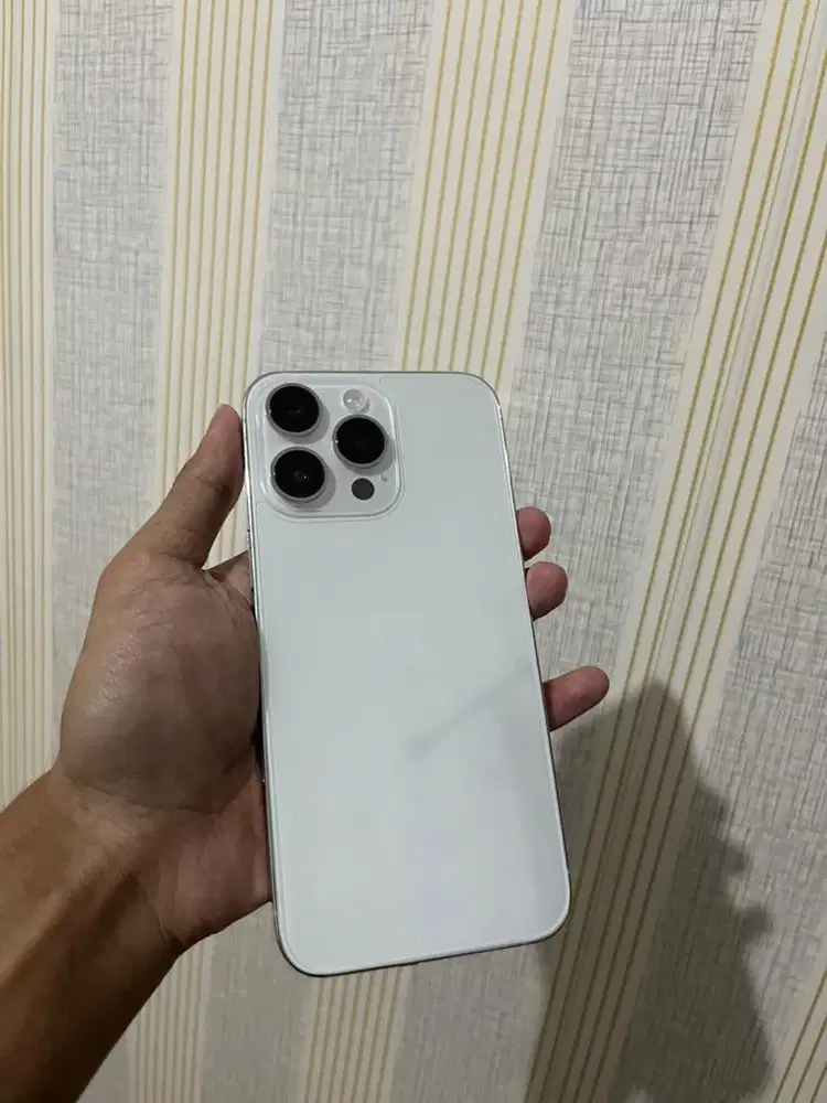 IPhone 14 Pro max 256 Gb white Mulus all operator inter